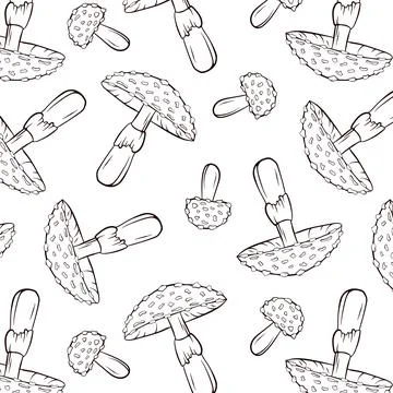 Fly Agaric inedible mushroom pattern in line art style. Outline hand drawn Stock Illustration
