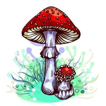 Fly agaric mushroom Stock Illustration