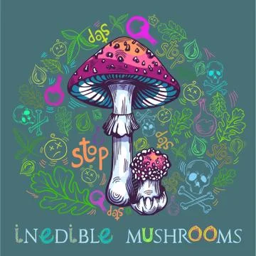 Fly agaric mushroom Stock Illustration