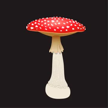 Fly agaric mushroom isolated on black background. Vector Illustration Stock Illustration