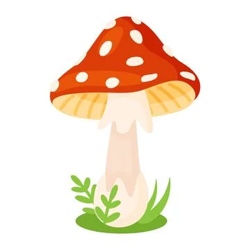 Fly agaric mushroom with red cap and white spots vector illustration Stock Illustration
