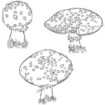 Fly agaric mushroom set Stock Illustration