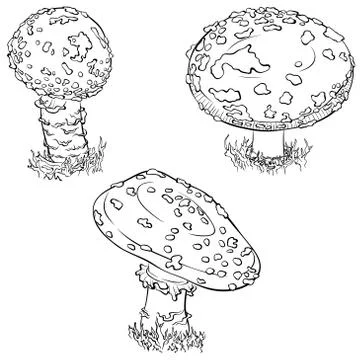 Fly agaric mushroom set Stock Illustration