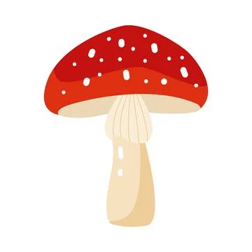 Fly agaric mushroom on white background Illustrazione stock