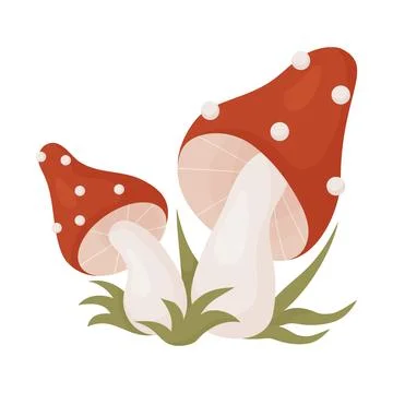 Fly agaric mushrooms in grass. Vector illustration in cartoon style. Beautiful Stock Illustration