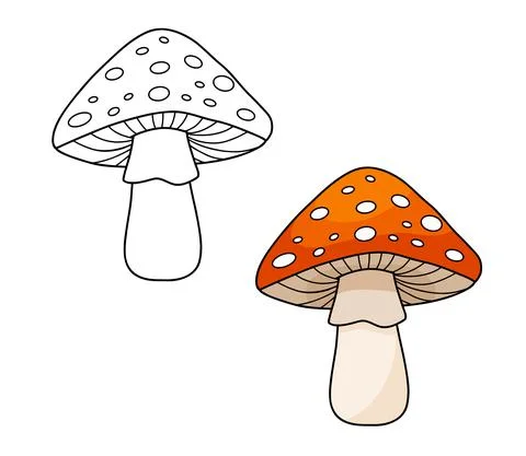 Fly agaric with red cap mushroom and white dots. Line and cartoon vector Stock Illustration
