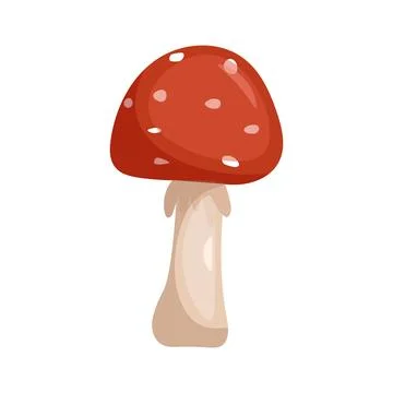 Fly agaric, vector illustration of a mushroom. Stock Illustration