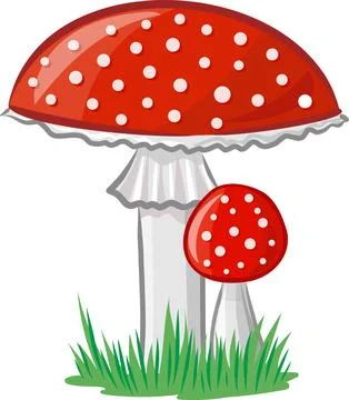 Fly agaric vector image without background Illustrazione stock