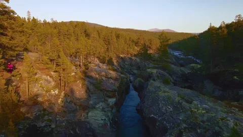 Fly along a fast flowing river in a wild pine forest at sunset. Stock Footage 142142778