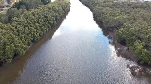 Fly Along River Lined with Trees - Drone 库存影片 83932946