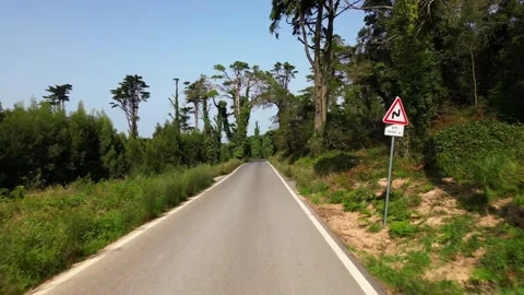 Fly along the road Stock Footage 304446317