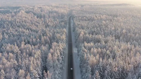 Fly along the winter road through forest Stock Footage 223766757