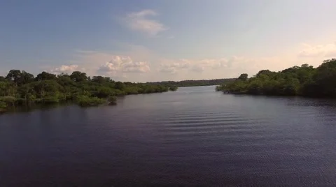 Fly in Amazon River, Brazil Stock Footage 54618582