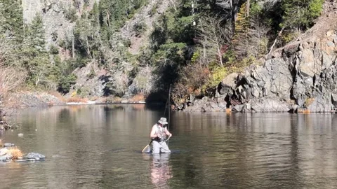 A fly angler begins casting in a crystal-clear river, surrounded by trees Stock-Footage 326979791