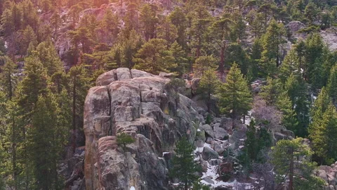 Fly around mountain peak amid pine forest with lens flare Stock Footage 329903559