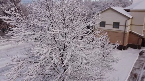 Fly around thick snow covered branches in small town Stock Footage 310575854