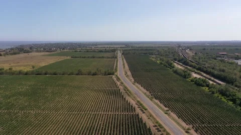 Fly away on a drone from vineyards Stock Footage 141285370