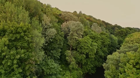 Fly away over the river and trees in Bernardinai Garden in Vilnius Lithuania  Vidéo 248860787