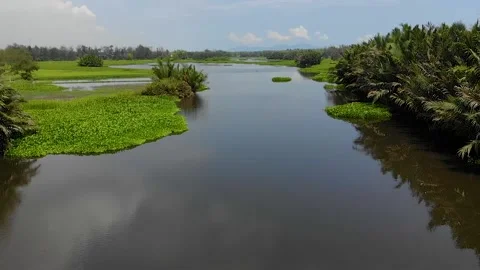 Fly backward in slow motion over tropical river Stock Footage 137088555