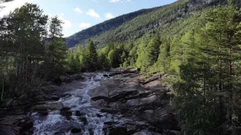 Fly backwards over a river with waterfall between trees in Norway Stock Footage 248362400