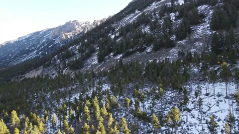 Fly Backwards View Trees and Mountains of Montana Stock Footage