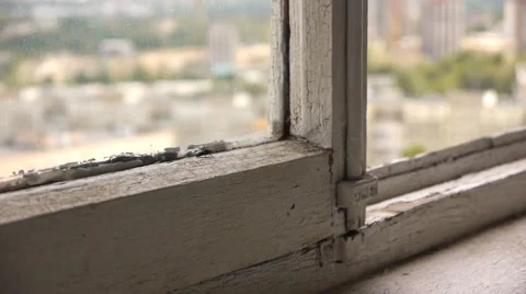 Fly Beats Against The Window Stock Footage 66100096