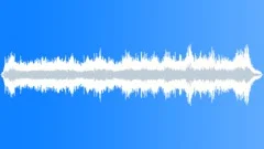 Fly buzzing - shortSound Effect