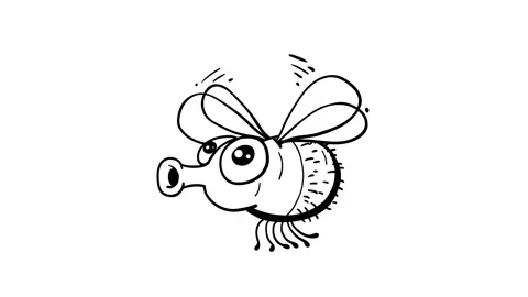 Fly cartoon dynamic animal doodle whiteboard Stock Footage 307412993