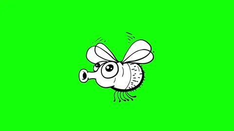 Fly cartoon dynamic animal doodle whiteboard on green screen Stock Footage 307440869