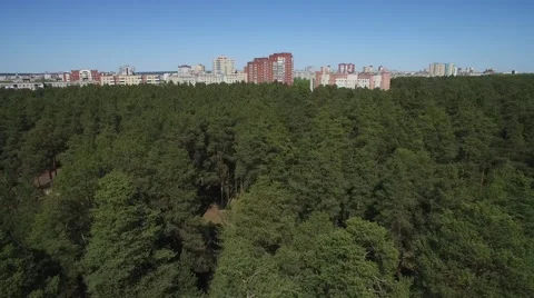 Fly to the city over a green pine forest. blue sky. summer 스톡 동영상 63379326