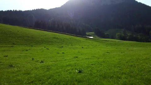 Fly close to ground on green mountain meadow uphill and sun shines over mountain 库存影片 156023534