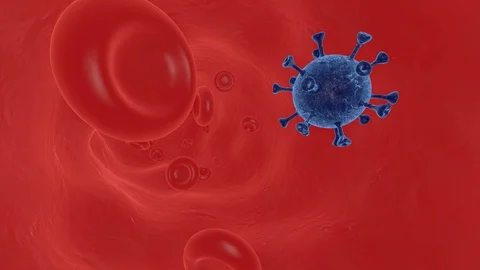 Fly Coronavirus Covid 19 Inside An Artery With Red Blood Cells 3D Stock Footage 128237917