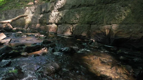 FLY CREEK LEVEL Stock Footage 195883172