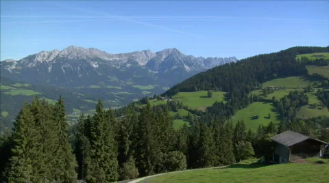 Fly down alp mountain between trees Stock Footage