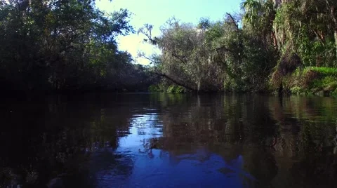 Fly down Florida river, ascend to aerial, 4K Stock Footage 59521178
