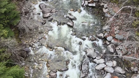 Fly down to Kootenay River, British Columbia, Canada Stock Footage 243460278