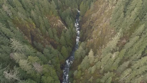 Fly down Quilcene River, Quilcene, WA Stock Footage 165526009