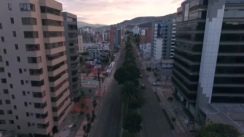 Fly down Quito City Palm Tree lined Street with Sunset over Mountains  库存影片 231328366