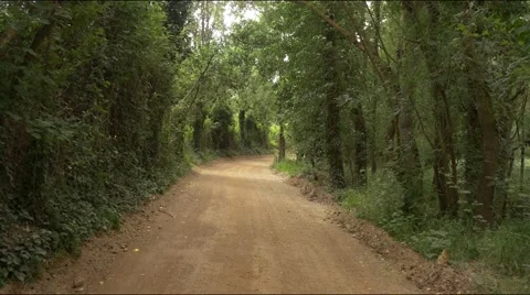 Fly down rural road empty nature calm relax emotion path sand ground forest Stock Footage 64025220