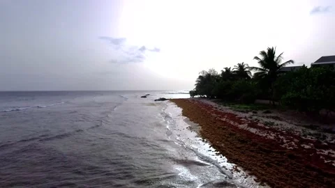 Fly down tropical beach with people swimming Stock Footage 220536997