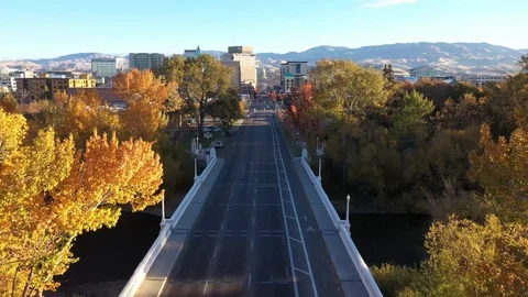 Fly Downtown 스톡 동영상 99003412