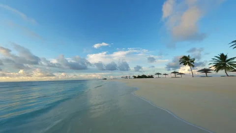Fly a drone over a beach in the Maldives. Ocean and palm trees. Stock Footage 238374124