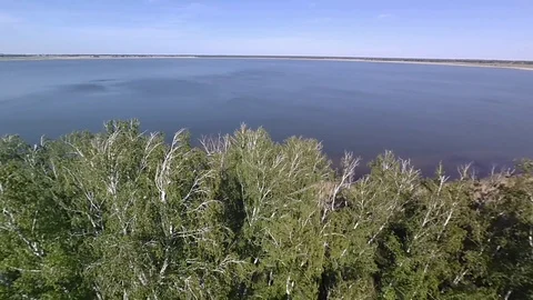 Fly on drone over forest and like. Stock Footage 108679340