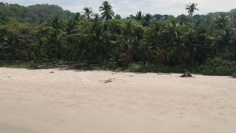 Fly a drone towards the beach Stock Footage 106570606