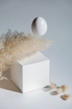 Fly Easter egg decorated with white cube and dry branches Stock Photos