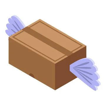 Fly express parcel icon isometric vector. Free delivery Stock Illustration