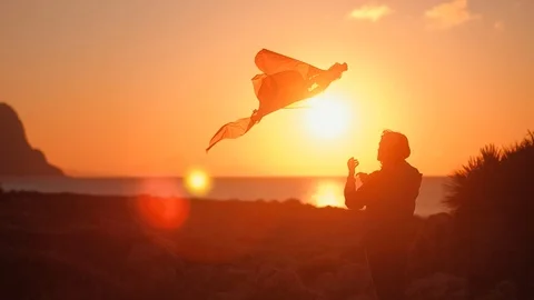 Fly far away Stockbeeldmateriaal 95838525