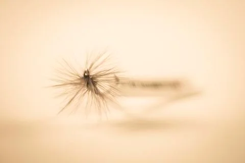 Fly fish hook Stock Photos
