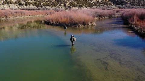 Fly fish sj 44 Видео 133199372