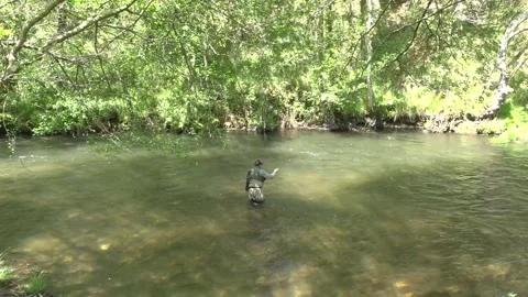 Fly Fisherman Casting from Behind - 8 Stock Footage 308401818
